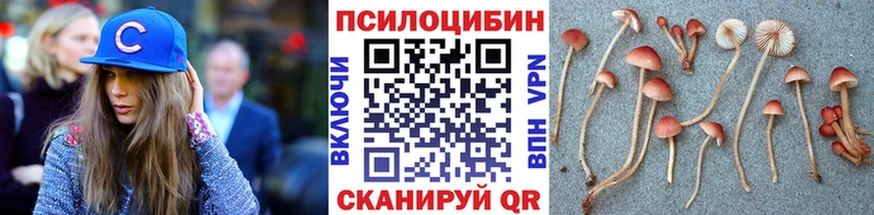 Псилоцибиновые грибы прущие грибы  mega как зайти  Лаишево 